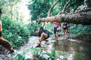 BIB: 
                            <button type="button" onclick="openModal(25435792)" class="btn btn-primary btn-sm float-right btn-popup" data-toggle="modal" data-target=".modal-high-quality">
                        <i class="fas fa-shopping-cart"></i> Add to Cart
                    </button>
                                            <button type="button" onclick="isThisMe(25435792, true)" class="btn btn-success btn-sm float-right btn-popup btn-isme hidden" data-toggle="tooltip" data-placement="bottom" title="นี่คือรูปของคุณใช่ไหม คลิกที่นี่เพื่อเอาเข้าอัลบั้ม">
                        <i class="fas fa-plus"></i> Add to album
                    </button>
                    <button type="button" onclick="isThisMe(25435792, false)" class="btn btn-warning btn-sm float-right btn-popup btn-isnotme hidden">
                        <i class="fas fa-ban"></i> Remove from album
                    </button>